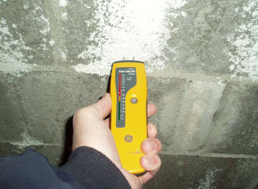A home inspector using a moisture meter to check for mold growth conditions.